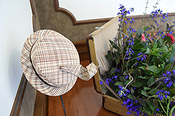 TIMELESS TACOMA TREASURES